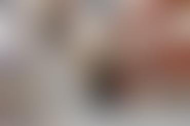 Importance of specialized focus in Projects, Oil & Gas Logistics?